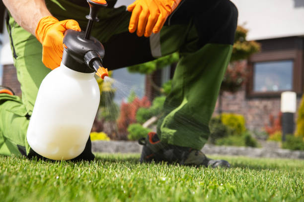Best Pest Removal Services  in Charlotte, NC