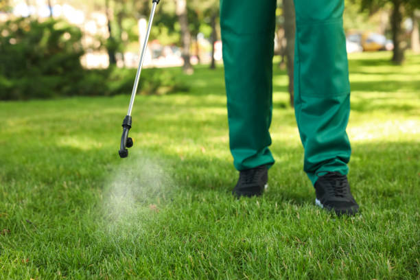 Best Best Pest Control Companies  in Charlotte, NC