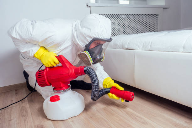 Best Rat Extermination Near Me  in Charlotte, NC