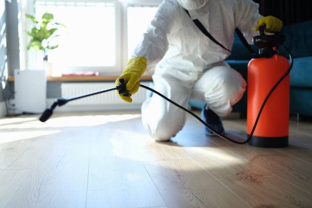 Best Flea Control Services  in Charlotte, NC