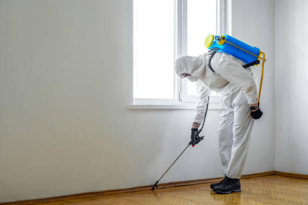 Best Termite Control Services  in Charlotte, NC