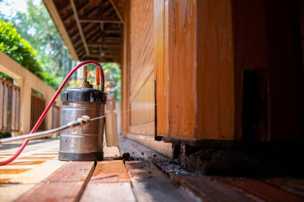 Best Affordable Exterminators  in Charlotte, NC